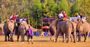 चार वर्षपछि सौराहामा हात्ती महोत्सवको तयारी