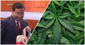 गाँजाको व्यवसायीक उत्पादन गर्न कानुनी व्यवस्था, कृषि मन्त्रालयलाई ५७ अर्ब