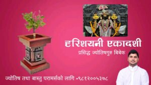 हरिशयनी एकादशी आज, तुलसीको बिरुवा सारिँदै