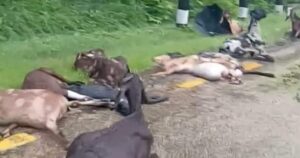 बाँके बस दुर्घटना: स्कुलले मृतकका आफन्तलाई साढे २१ लाख क्षतिपूर्ति दिने सहमति