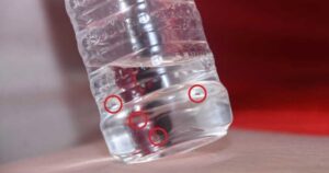 खानेपानीमा किरा भेटिएपछि किम्ची रेस्टुरेन्टलाई दुई लाख जरिवाना