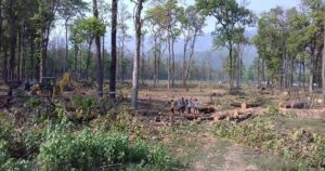 मधेशमा साढे पाँच हजार हेक्टर वन अतिक्रमण