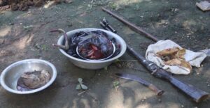 सर्लाहीको हरिपुरमा भरुवा बन्दुकसहित हरिणको मासु बरामद