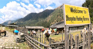 चिसो बढेपछि आउन छोडे पर्यटक, सुनसान बन्दै ढोरपाटन