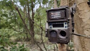 रेड पान्डाको संरक्षण गर्न सामुदायिक वनमा ४८ वटा सीसी क्यामेरा जडान