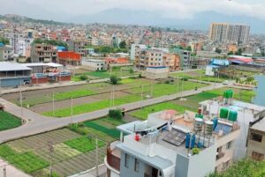 घरजग्गा कारोबारः गत पुसमा ४ अर्ब २५ करोड राजश्व संकलन