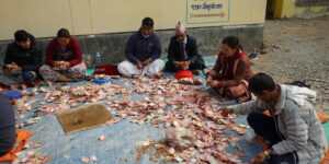 गलेश्वरमा रु ५१ लाख भेटी सङ्कलन