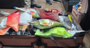 थाइल्याण्डबाट नेपालमा २२ किलो गाँजा तस्करी, विमानस्थलबाट समातिए दुई भारतीय