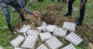 भारतबाट अवैध रूपमा आयात हुने सेतो अण्डा सशस्त्र प्रहरीद्वारा नष्ट