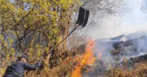 चन्द्रागिरीको सामुदायिक बनमा भीषण डढेलो