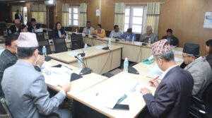 सिंहदरबारमा कार्यव्यवस्था परामर्श समितिको बैठक