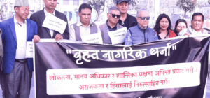 लोकतन्त्रको विकल्प नभएको भन्दै अराजकताविरुद्ध नागरिक समाजको धर्ना