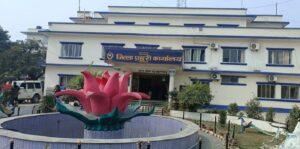 सात महिनामा एक हजार २९० महिला हिंसाको उजुरी