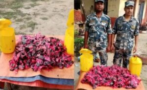 खाने तेलको ग्यालेनभित्र चरेश बरामद