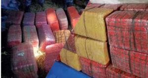 पन्ध्र दिनमा १३ क्विन्टल गाँजा बरामद   