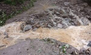 बाढीले भेडीगोठका २६ बाख्रा पुरिए