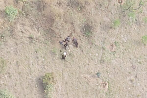 दैलेखमा भीरबाट लडेर एक जनाको मृ*त्यु