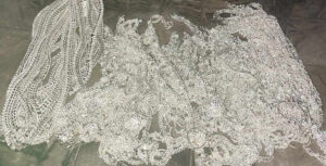 बाराको पथलैयामा बसभित्र ६ किलो चाँदीका गहना बरामद