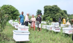 सर्लाहीका किसानलाई ५३२ घार मौरी वितरण