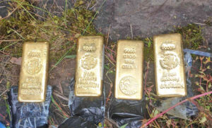 स्याउ बोक्ने कन्टेनरमा भेटिएको थियो साढे ७ किलो सुन