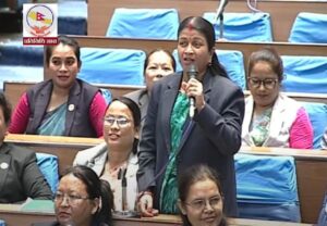 दाइजोप्रथा अन्त्यका लागि कानुन बनाएर तत्काल कार्यान्वयन गर्नुपर्छः मीना यादव