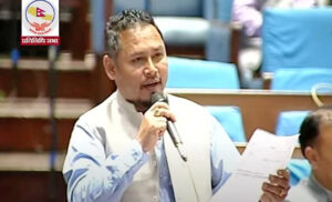 विद्युत् आपूर्तिमा देखिएको समस्या समाधान गर्न माग