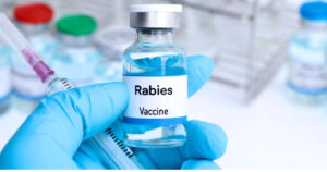 बैतडीमा रेबिजविरुद्ध खोप अभाव