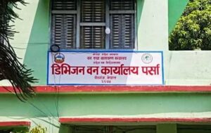 ‘दिगो वन व्यवस्थापनमा ध्यान दिन जरूरी भइसक्यो’