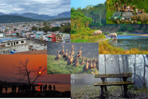 चितवनलाई पर्यटकीय राजधानी घोषणा गर्न माग