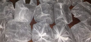 साढे १२ क्विन्टल गाँजासहित तीनजना पक्राउ