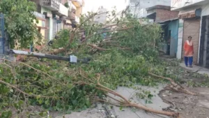 शुक्रबारको हावाहुरी सहितको वर्षाले कम्तीमा तीनको मृ*त्यु, सात घाइते, खतरा आज पनि