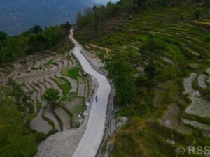 नेप्टेचौर–काउरा–गिठिनी–पात्लेखेत सडक ट्रयाक खुलेको १५ वर्षपछि स्तरोन्नति