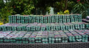 वीरगन्जको भकुवा नाकाबाट ८१ हजार पिस बढी लागूऔषध बरामद