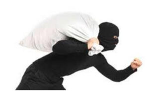 ललितपुरबाट ८ लाख बढीको धनमाल चोरी