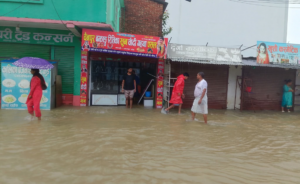 अविरल वर्षाले धनगढी जलमग्न : विद्यालय बन्द, बाढीको जोखिम उच्च