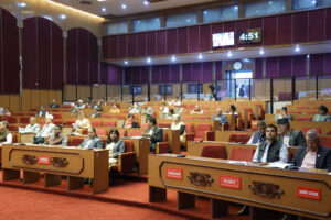 राष्ट्रियसभाबाट संवैधानिक परिषद् विधेयक पारित