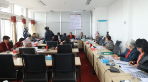 रोकियो निजामती विधेयकमाथिको दफावार छलफल