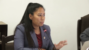 शिक्षा विधेयक सके सहमतिमा नभए फरक मत राखेर भए पनि प्रतिनिधिसभासम्म पुर्‍याऊँ : सुमना श्रेष्ठ