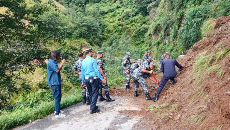 पाल्पामा पहिरोमा परेर पाँच जनाको निधन
