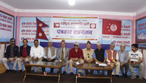 प्रधानमन्त्री नियुक्ति भ्रष्ट बचाउने खेल भयो : राष्ट्रिय मातृभूमी पार्टी