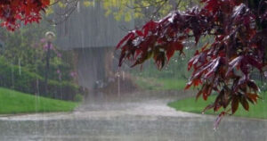 आजको मौसमः यी स्थानमा भारी वर्षाको सम्भावना