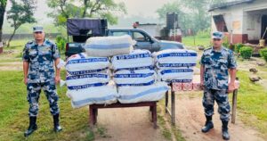 सिरहामा सशस्त्र प्रहरीद्वारा भारी मात्रामा लागुऔषध गाँजा बरामद 