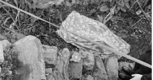 बुवाको ह*त्यामा संलग्न छोरा पक्राउ