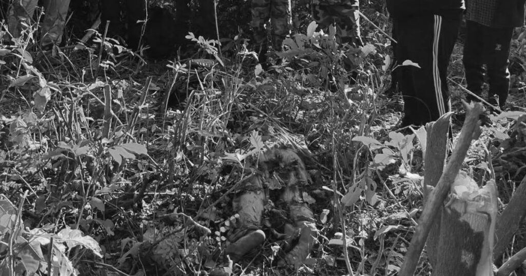 रामेछापमा जङ्गली जनावरको आक्र*मणबाट ६५ वर्षीया महिलाको मृ*त्यु