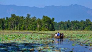 आज विश्व सिमसार दिवस विश्वभर विभिन्न कार्यक्रम गरि मनाइँदै