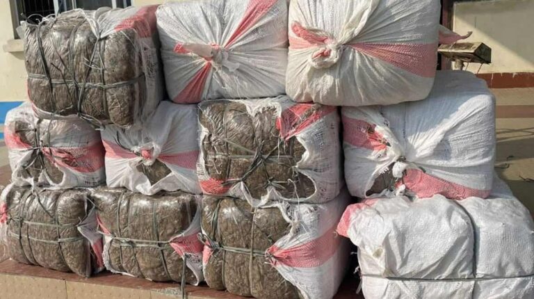 पर्सामा २ क्विन्टल गाँजा बरामद