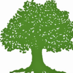 कांग्रेसको केन्द्रीय अनुशासन समिति बैठक बस्दै