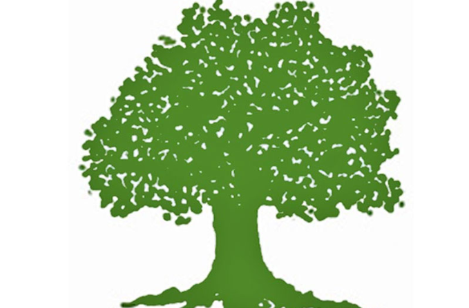 बाजुरामा समानुपातिकमा समेत कांग्रेस पहिलो