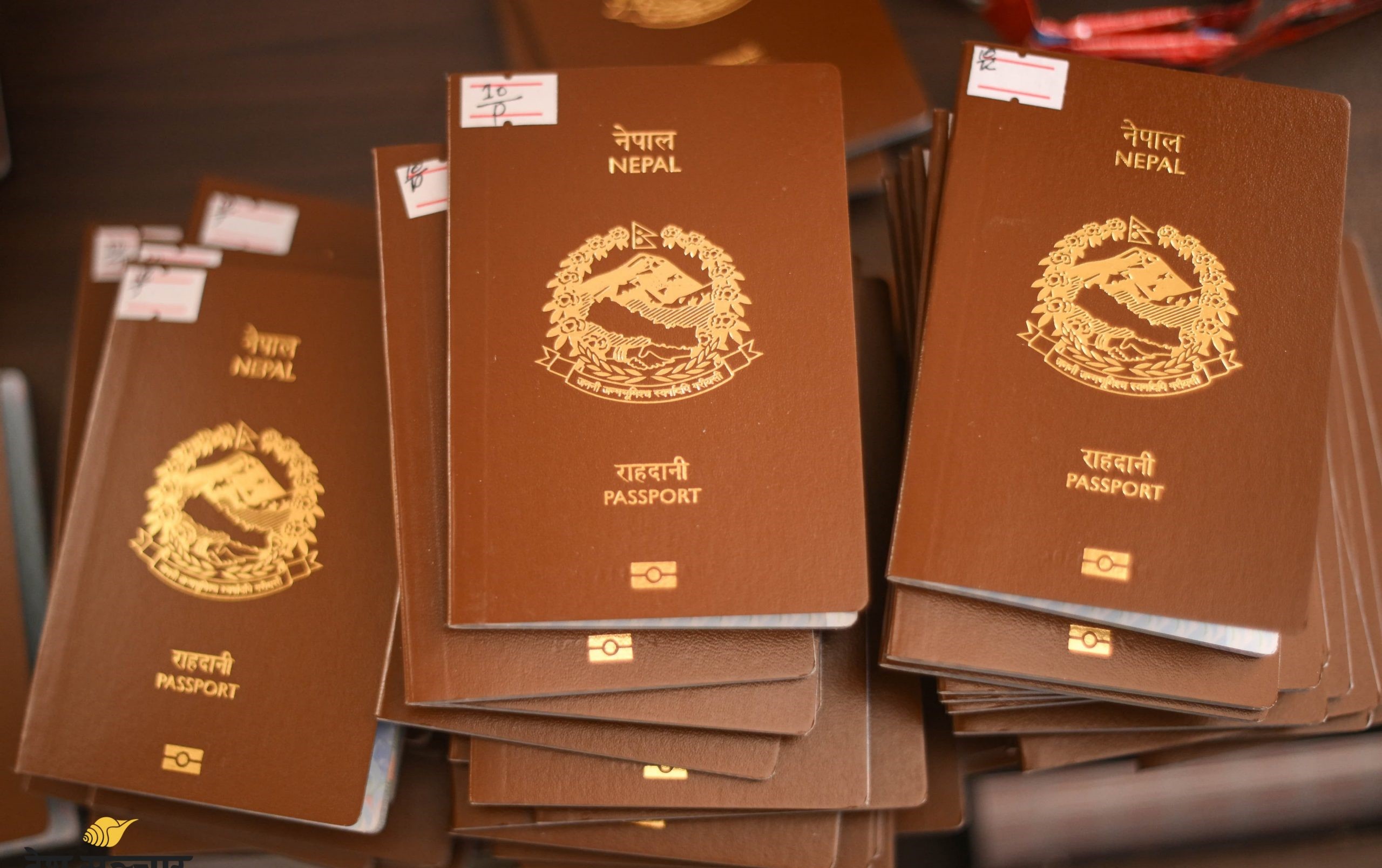 यूएई जान लागेका नेपालीको पासपोर्टमा ‘रोजगारी निषेध’ लेख्ने दुई जना अध्यागमन अधिकृतमाथि कारबाही