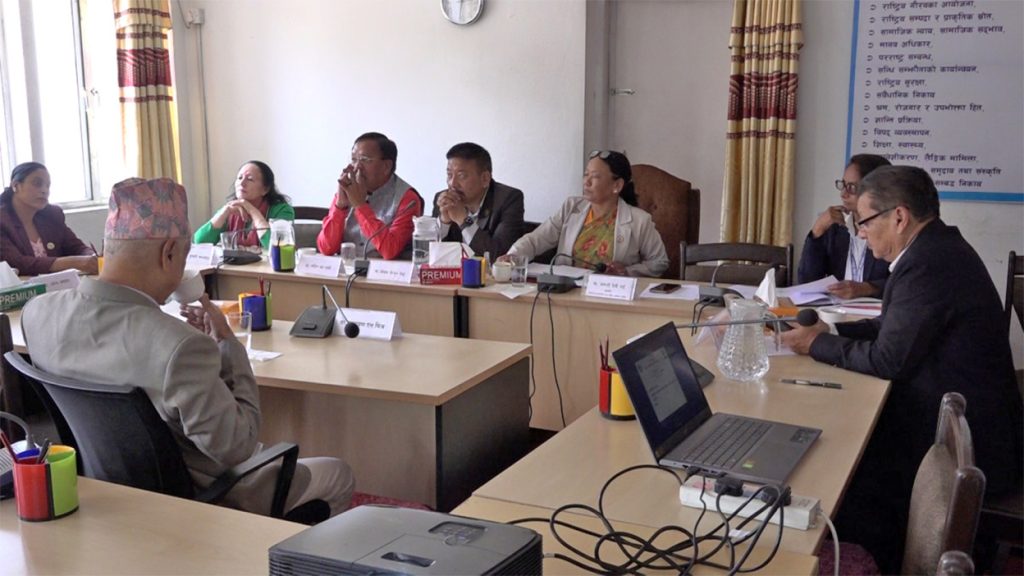 संघीयता सबलीकरण तथा राष्ट्रिय सरोकार समितिका ३ वटा उपसमिति गठन